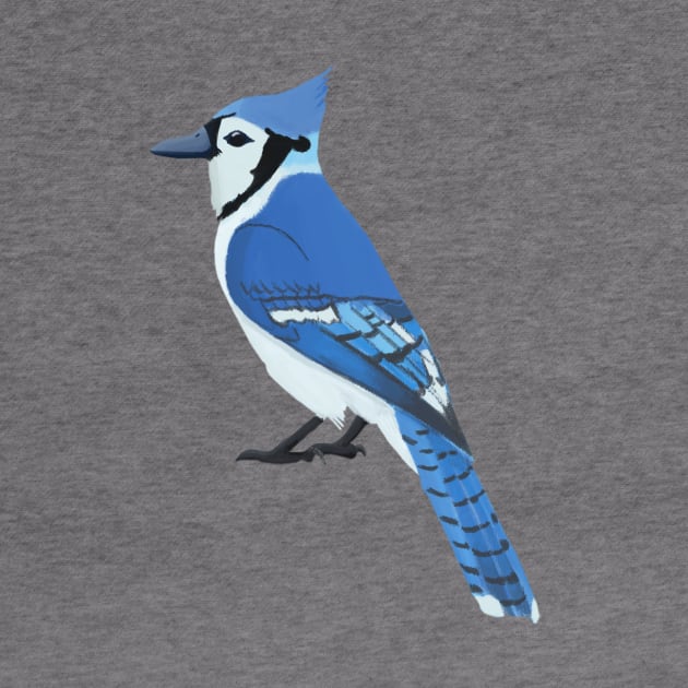 Blue Jay by College Mascot Designs